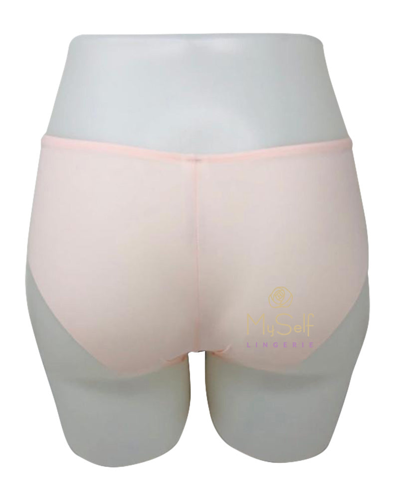 Dominique 420 Microfiber Bonded Brief myselflingerie.com