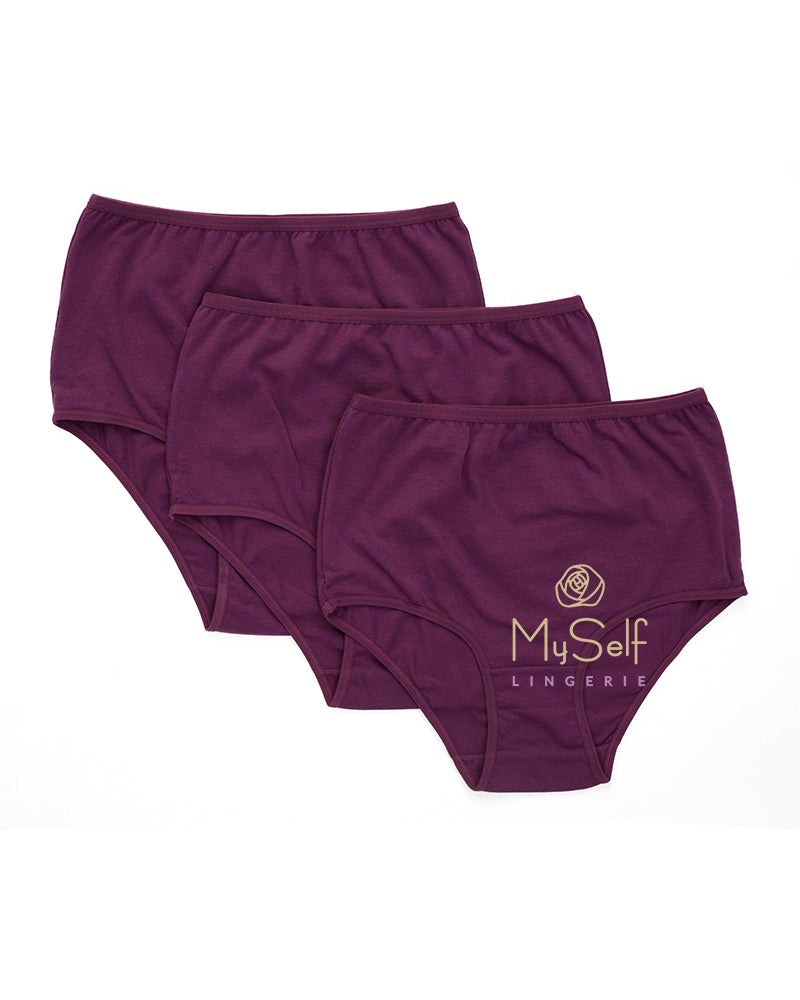 Gemsli 3305 Plum Cotton Briefs 3 Pk. myselflingerie.com