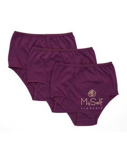 Gemsli 3305 Plum Cotton Briefs 3 Pk. myselflingerie.com