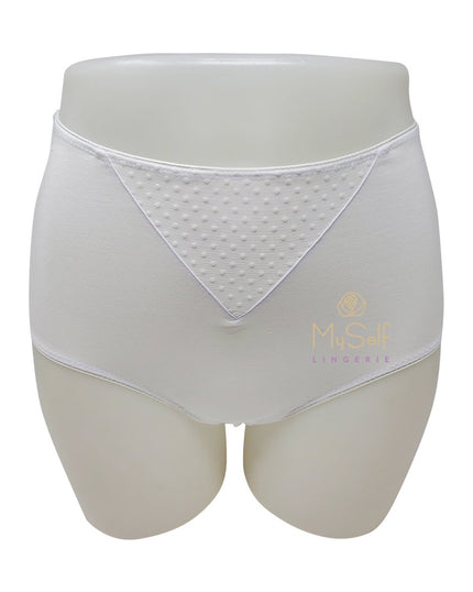 Gemsli 33200 Mesh Insert Organic Cotton White Briefs 3 Pk myselflingerie.com