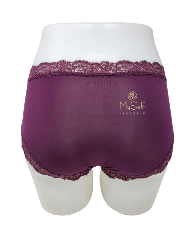 Fleur't 602 Modal Hi Waisted Brief myselflingerie.com