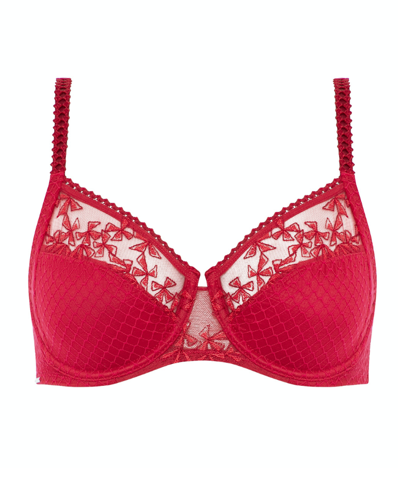 Embroidered Mesh Bralette - Candy red