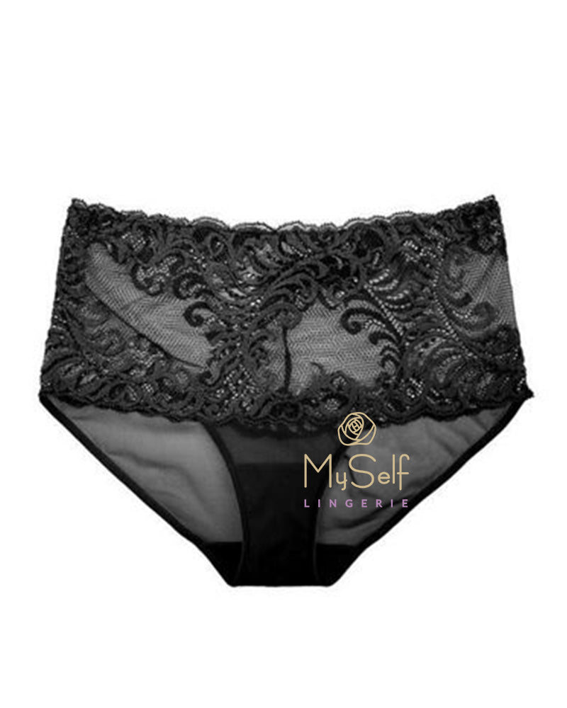 Natori 756023 Feathers Lace Brief myselflingerie.com