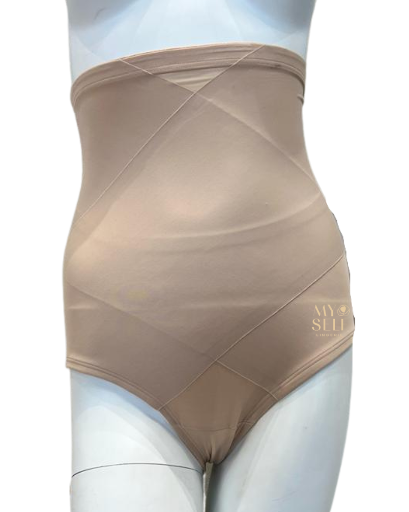 Miraclesuit 4435 Nude Tummy Tux Hi Waist Brief myselflingerie.com