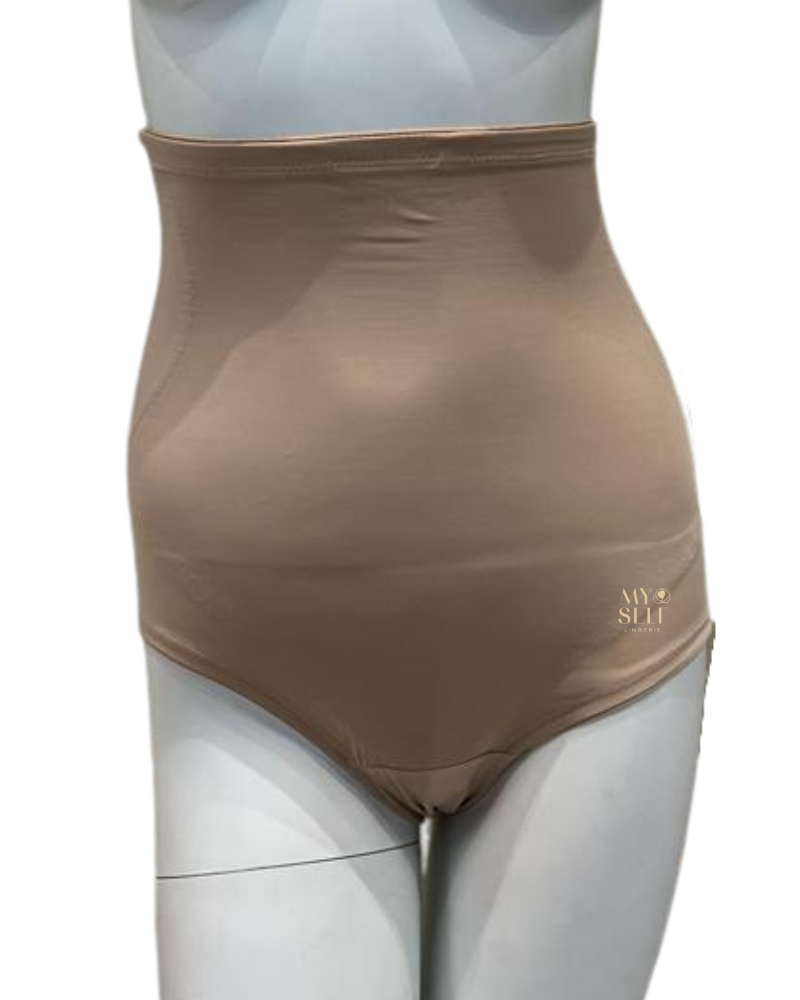 Miraclesuit 4095 Nude Shape Away Hi Waist Brief myselflingerie.com