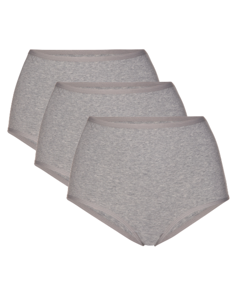 Gemsli 3305 Grey Cotton Briefs 3 Pk myselflingerie.com