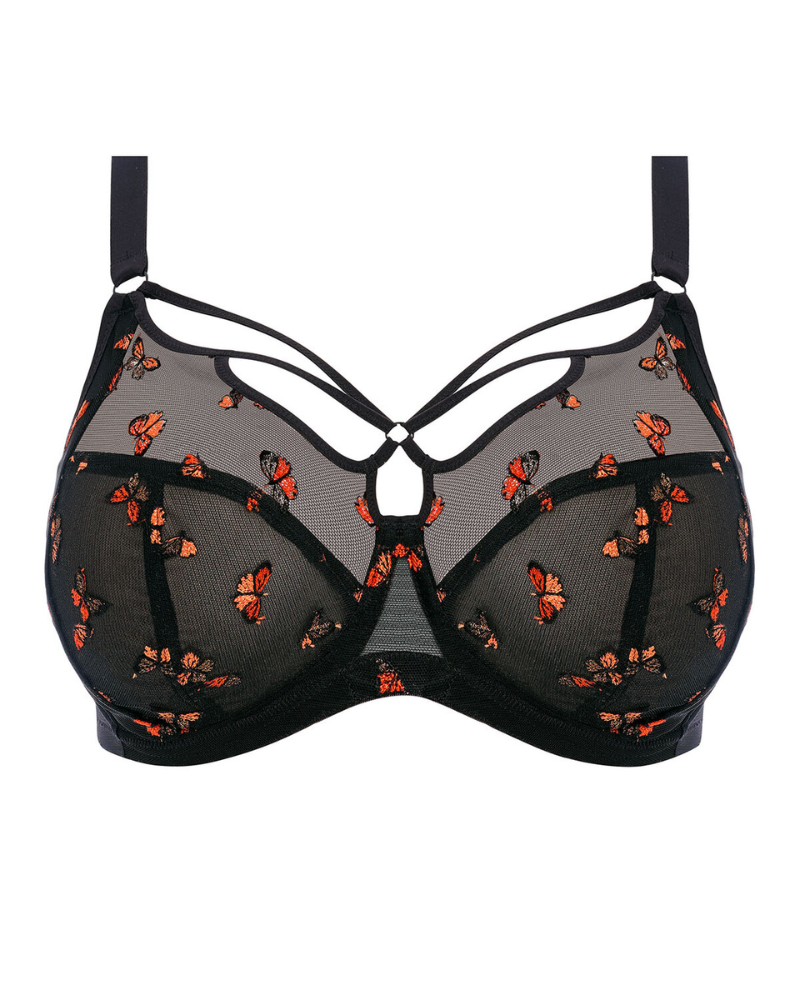 Elomi 4353 Black Butterfly Sachi Underwire Bra myselfingerie.com