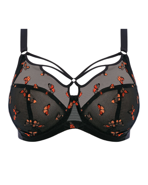 Elomi 4353 Black Butterfly Sachi Underwire Bra myselfingerie.com