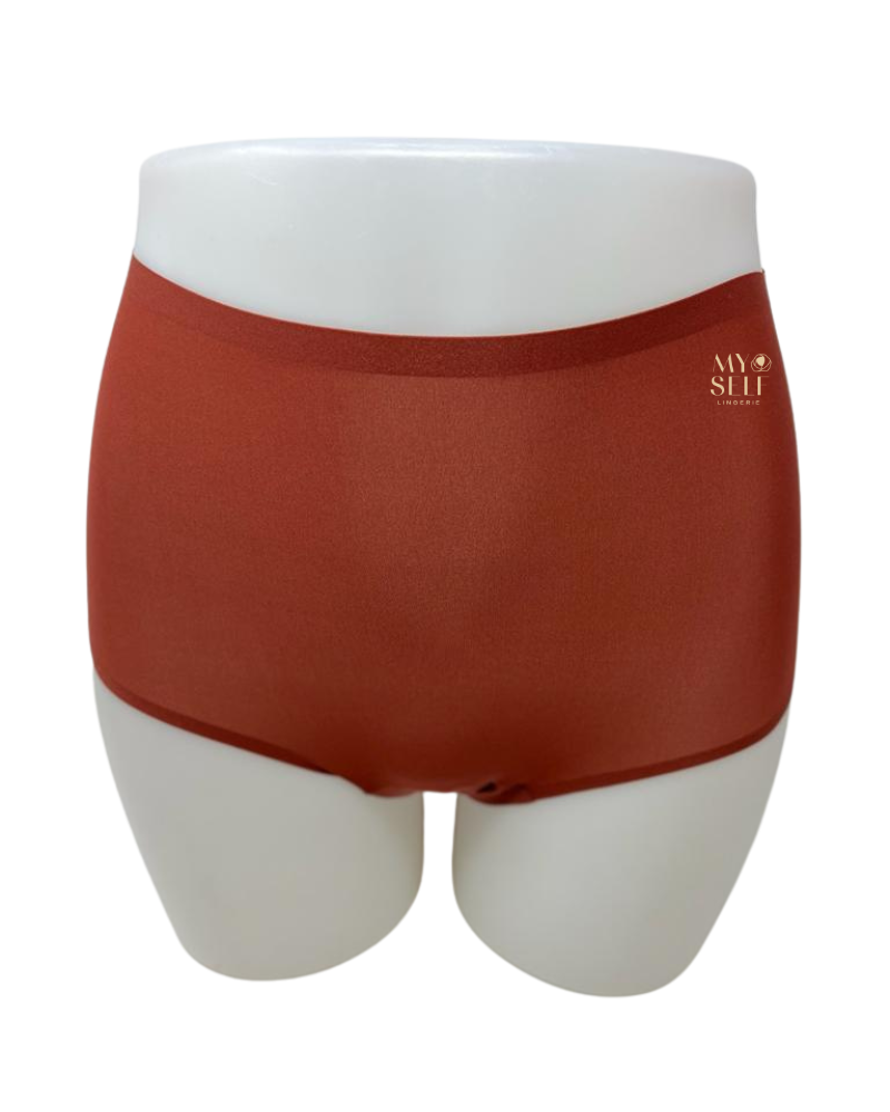 Chantelle 2647 Seamless One Size Fits All Full Brief MYSELFLINGERIE.COM