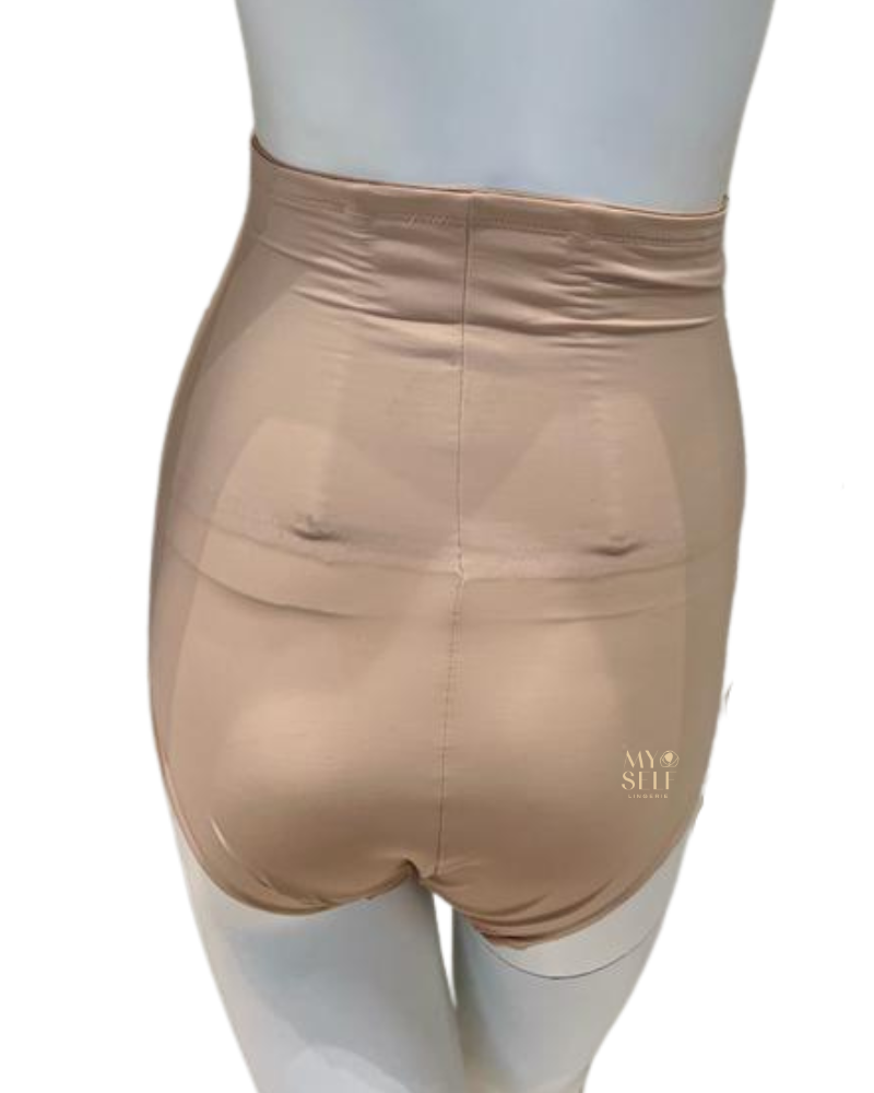 Miraclesuit 4095 Nude Shape Away Hi Waist Brief myselflingerie.com