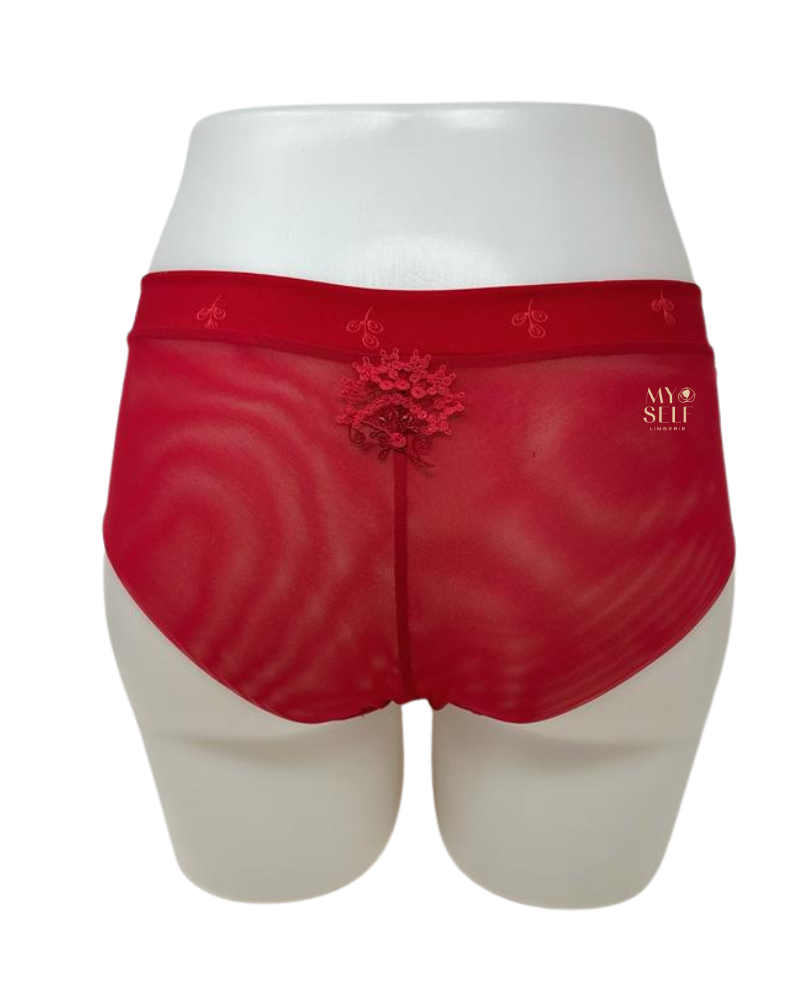 Simone Perele 12B630 Ruby Wish Boyshort Panty myselflingerie.com