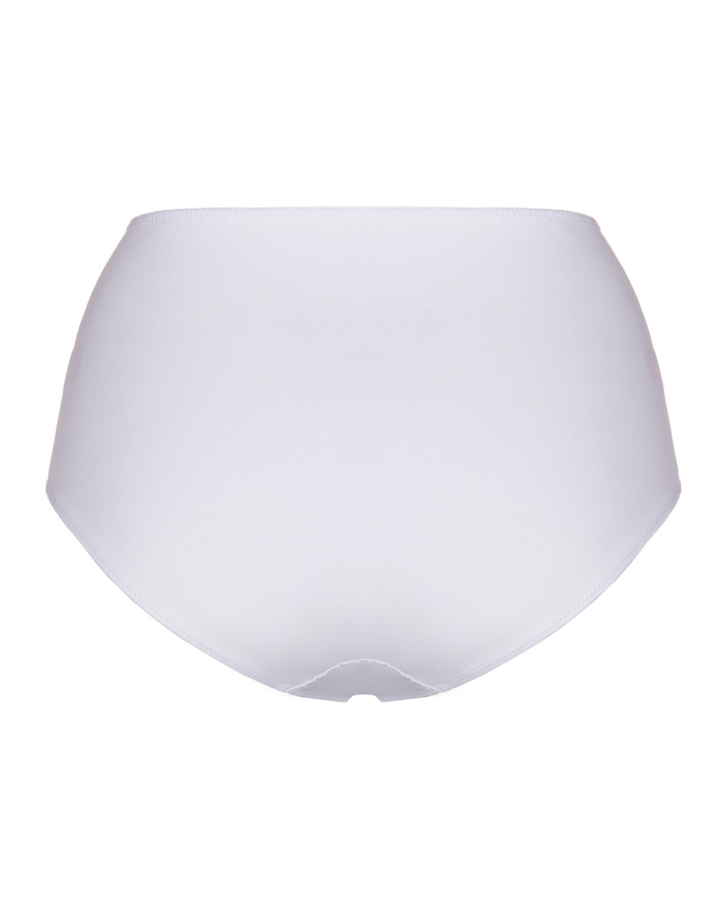 Gemsli 3327 Mesh Insert with Pocket Organic Cotton White Briefs 3 Pk myselflingerie.com