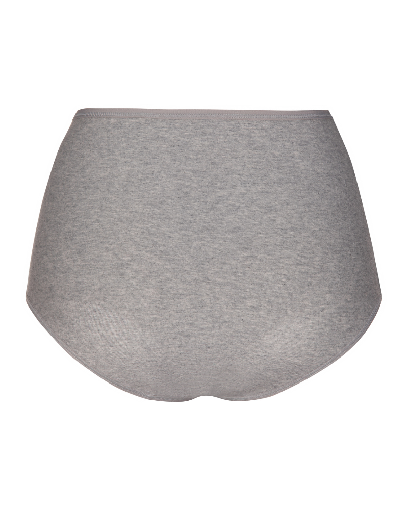 Gemsli 3305 Grey Cotton Briefs 3 Pk myselflingerie.com
