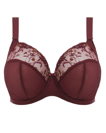 Elomi 4380 Aubergine Charley Plunge Underwire Bra myselflingerie.com
