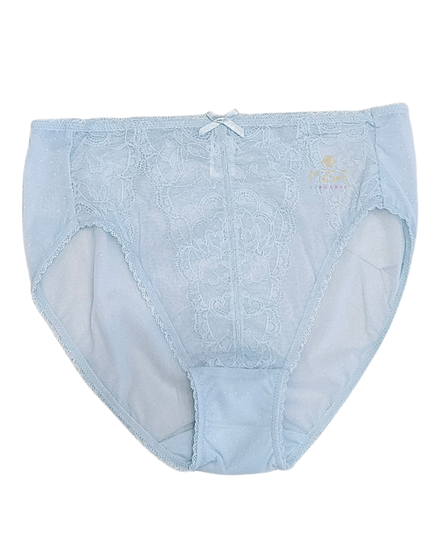 Wacoal 841186 Cloud Blue Retro Chic Brief myselflingerie.com