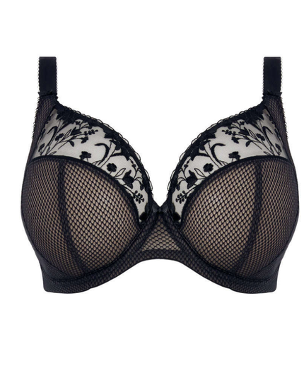 Elomi 4380 Jet Charley Plunge Underwire Bra myselflingerie.com