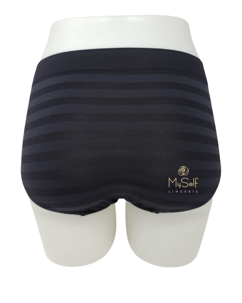 Jockey 1307 Microfiber Matte & Shine Seamfree Hipster MYSELFLINGERIE.COM