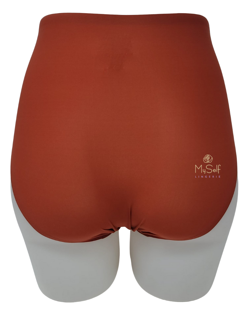 Chantelle 2647 Seamless One Size Fits All Full Brief MYSELFLINGERIE.COM