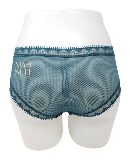 Chantelle 15F4 Green Day to Night Lace Hipster myselflingerie.com