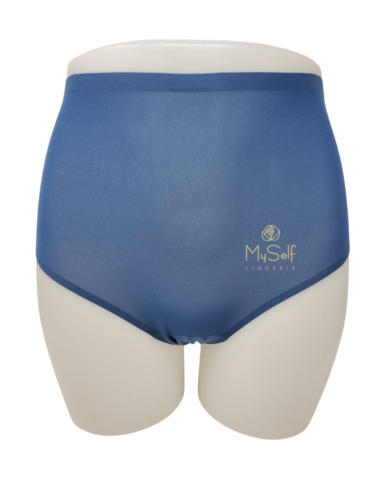 Chantelle 2647 Seamless One Size Fits All Full Brief MYSELFLINGERIE.COM