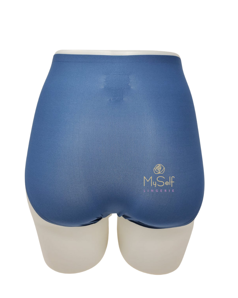 Chantelle 2647 Seamless One Size Fits All Full Brief MYSELFLINGERIE.COM