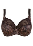 EL4110 Ebony 3 Part Cup Morgan Underwire Bra