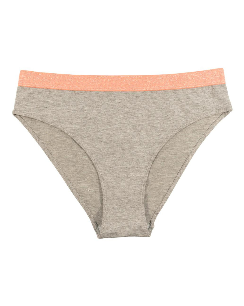 Love Libby 4908 Heather Grey Cotton with Shimmer Elastic Cheeky Bikini myselflingerie.com