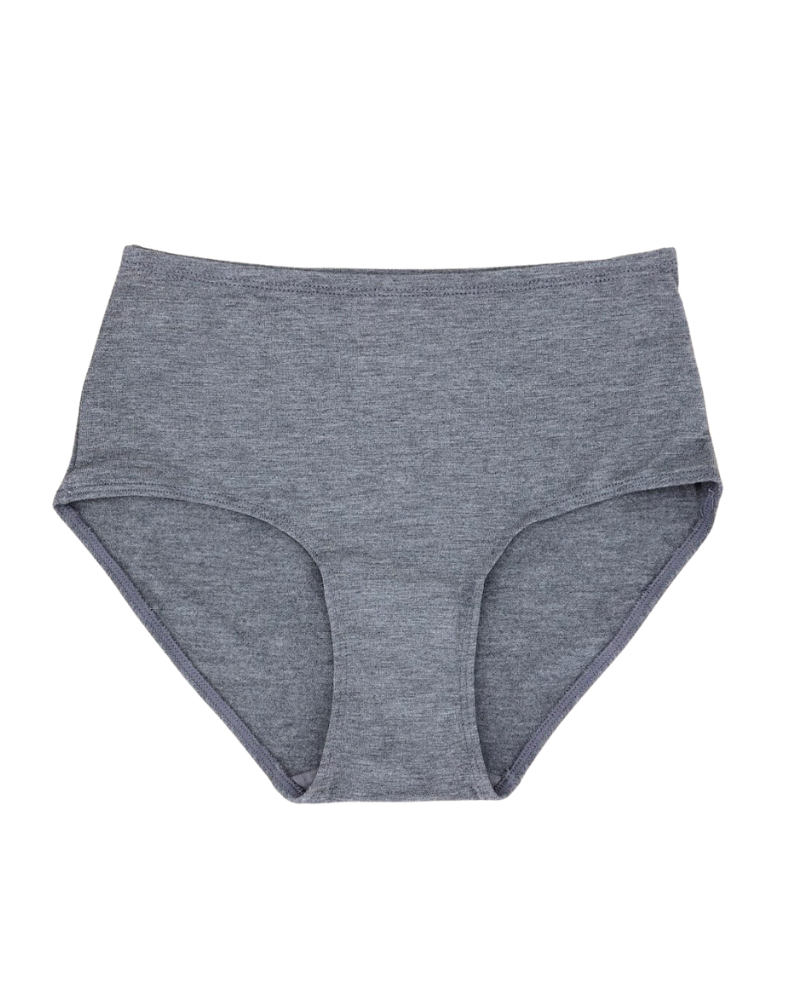 S301PLS Charcoal Modal Briefs with Elastic Waist Plus Sizes 3 Pack