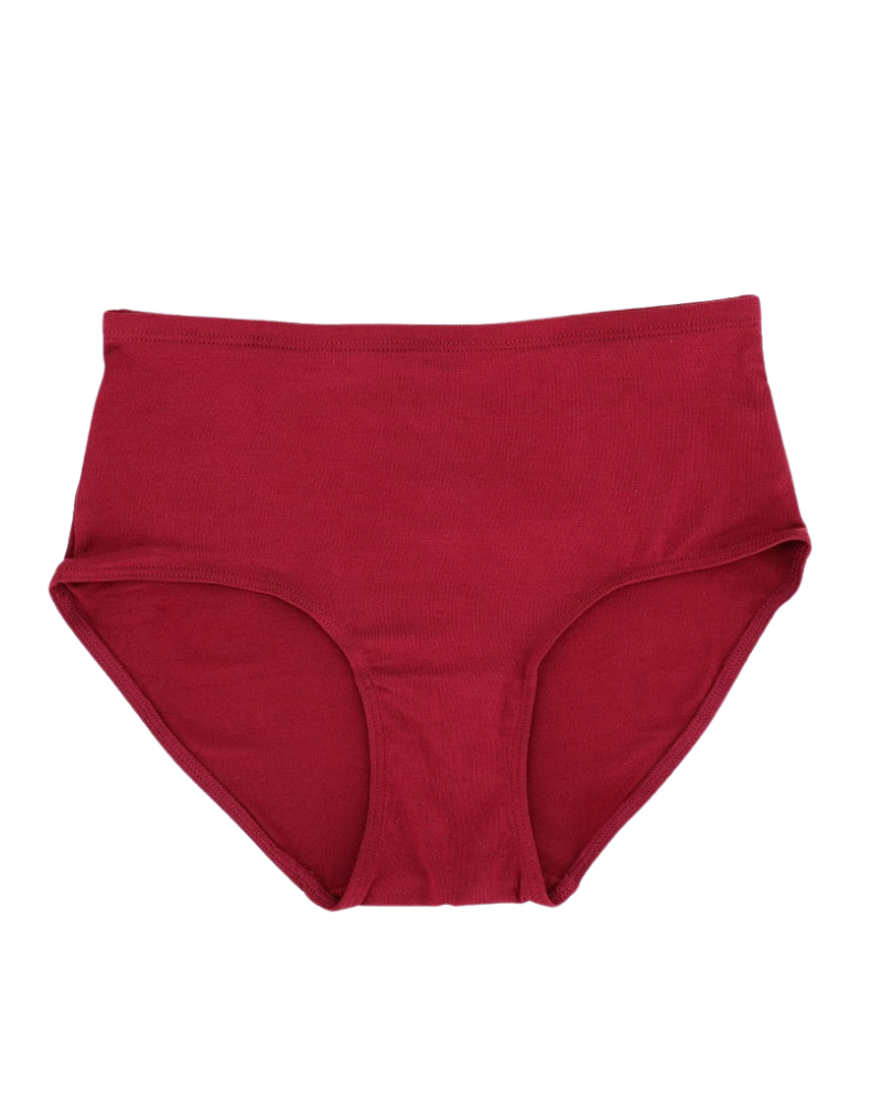 SHE S301PLS Cabernet Modal Briefs with Elastic Waist Plus Sizes 3 Pack myselflingerie.com