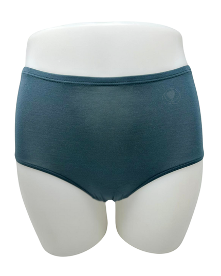 SHE S301PLS Lichen Modal Briefs with Elastic Waist Plus Sizes 3 Pack myselflingerie.com