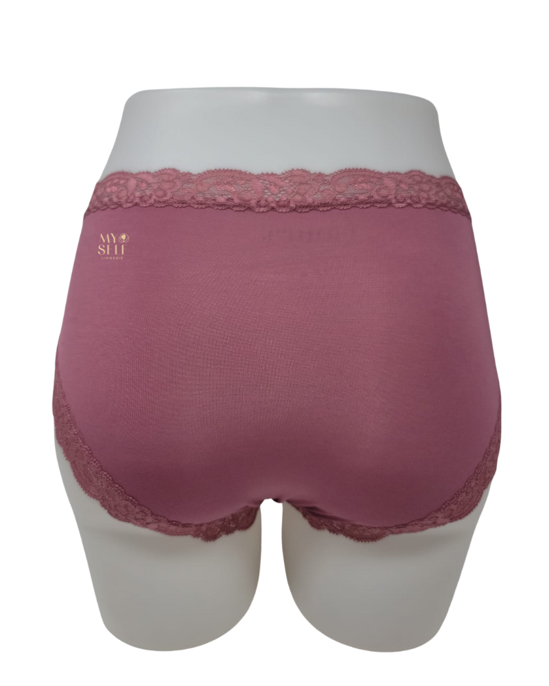 Fleur't 602 Mesa Rose Iconic Modal Lace Hi Waisted Brief myselflingerie.com