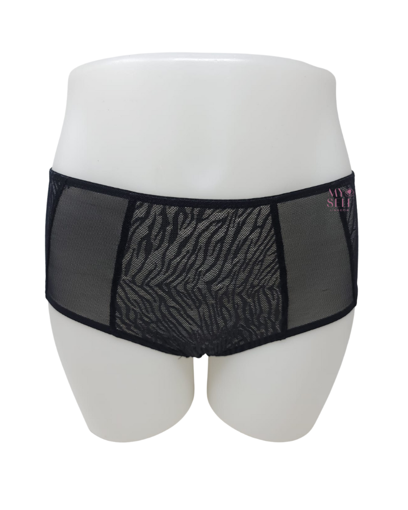 You 100-210 Black Tuval Mesh & Lace Brief myselflingerie.com