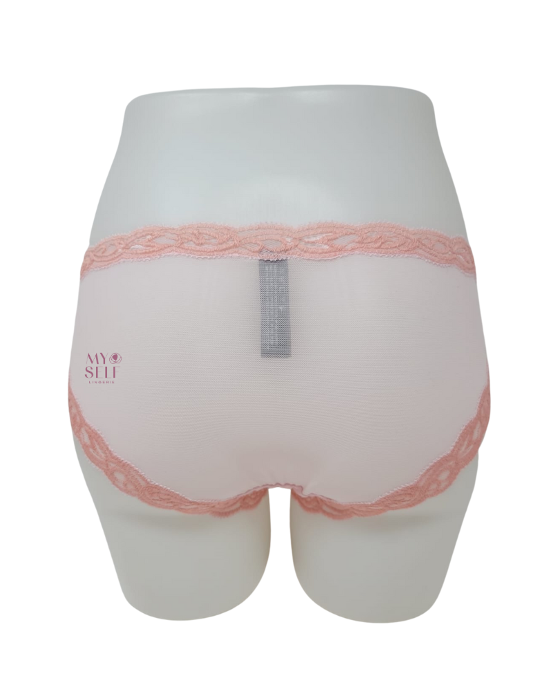 Natori 753023 Ribbon Pink/Peach Pink Feathers Hipster myselflingerie.com