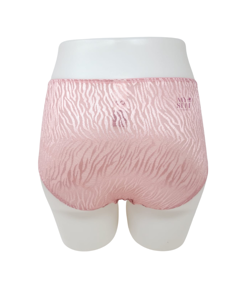 You 100-210 Blush Tuval Mesh & Lace Brief myselflingerie.com