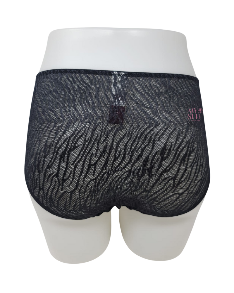 You 100-210 Black Tuval Mesh & Lace Brief myselflingerie.com