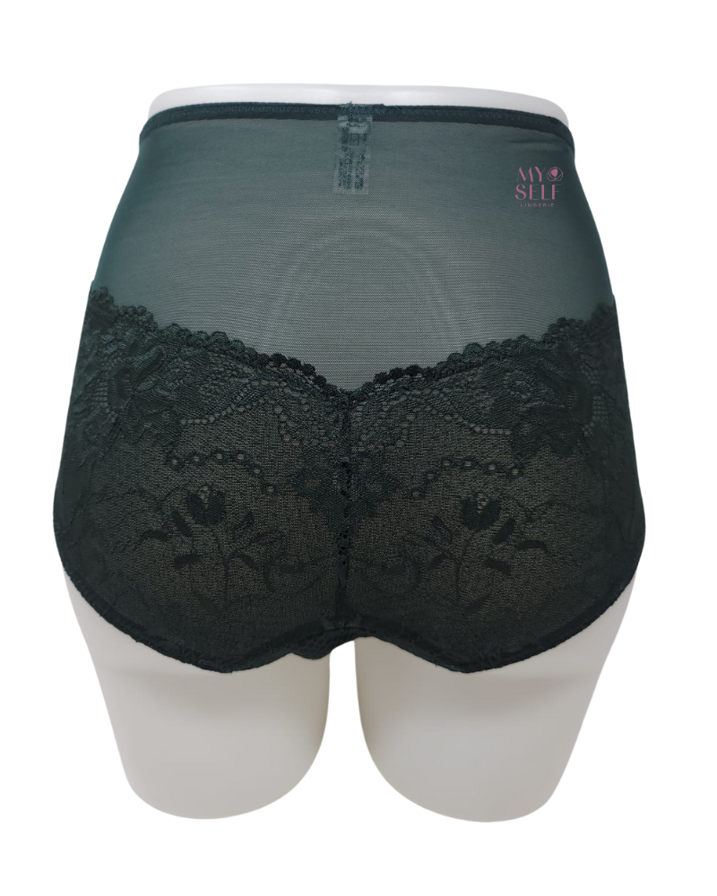 Fitfully Yours U2763 Forest Green Serena Lace Brief myselflingerie.com